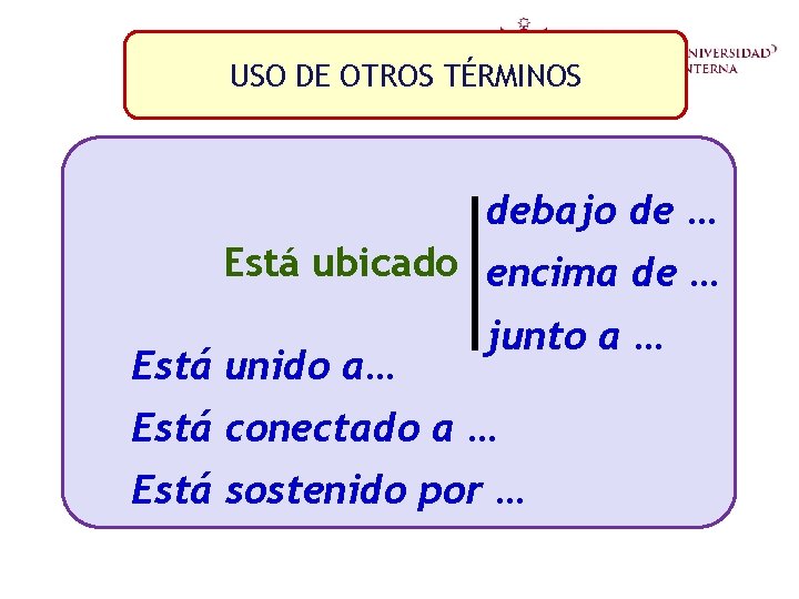 USO DE OTROS TÉRMINOS debajo de … Está ubicado encima de … Está unido USO DE OTROS TÉRMINOS debajo de … Está ubicado encima de … Está unido