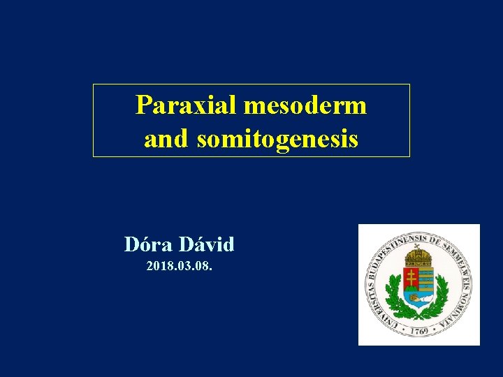 Paraxial mesoderm and somitogenesis Dóra Dávid 2018. 03. 08. 