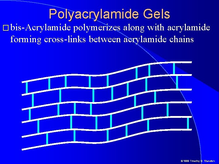 Polyacrylamide Gels � bis-Acrylamide polymerizes along with acrylamide forming cross-links between acrylamide chains ©
