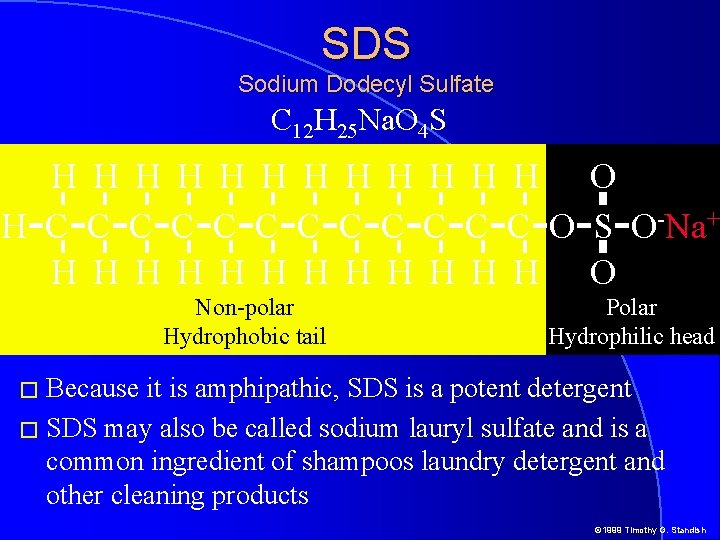 SDS Sodium Dodecyl Sulfate C 12 H 25 Na. O 4 S H H