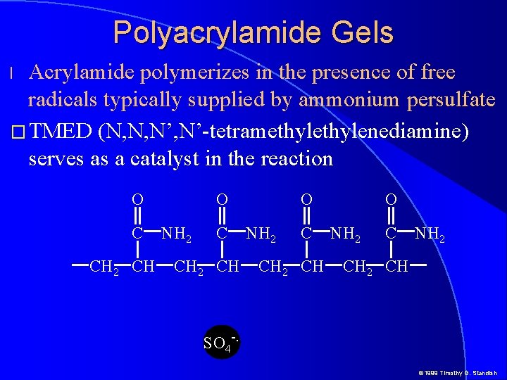 Polyacrylamide Gels Acrylamide polymerizes in the presence of free radicals typically supplied by ammonium