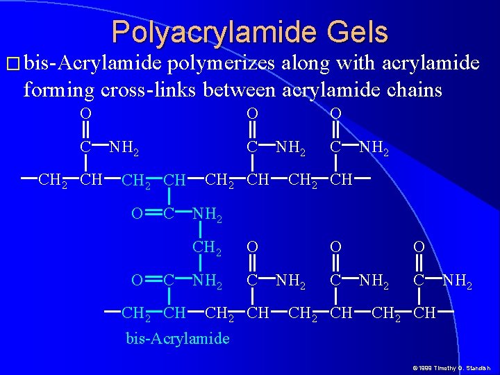Polyacrylamide Gels � bis-Acrylamide polymerizes along with acrylamide forming cross-links between acrylamide chains O