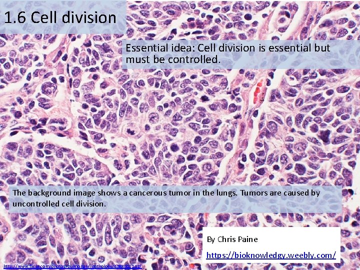 1. 6 Cell division Essential idea: Cell division is essential but must be controlled.