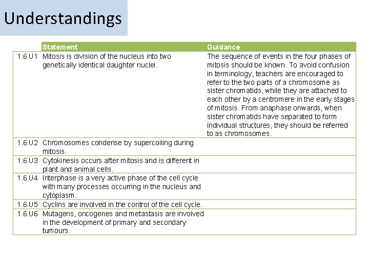 Understandings Statement 1. 6. U 1 Mitosis is division of the nucleus into two