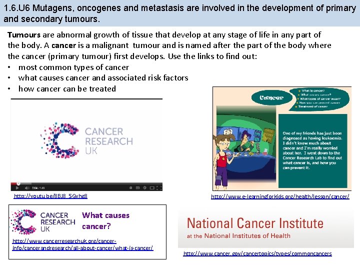 1. 6. U 6 Mutagens, oncogenes and metastasis are involved in the development of