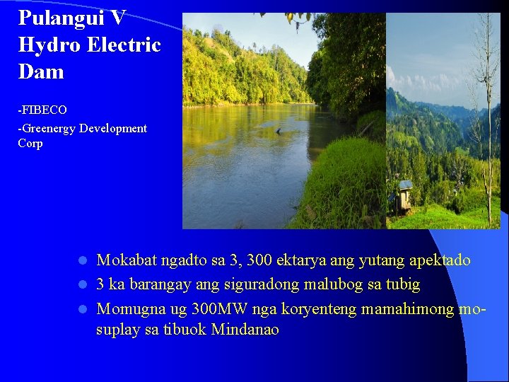 Pulangui V Hydro Electric Dam -FIBECO -Greenergy Development Corp Mokabat ngadto sa 3, 300