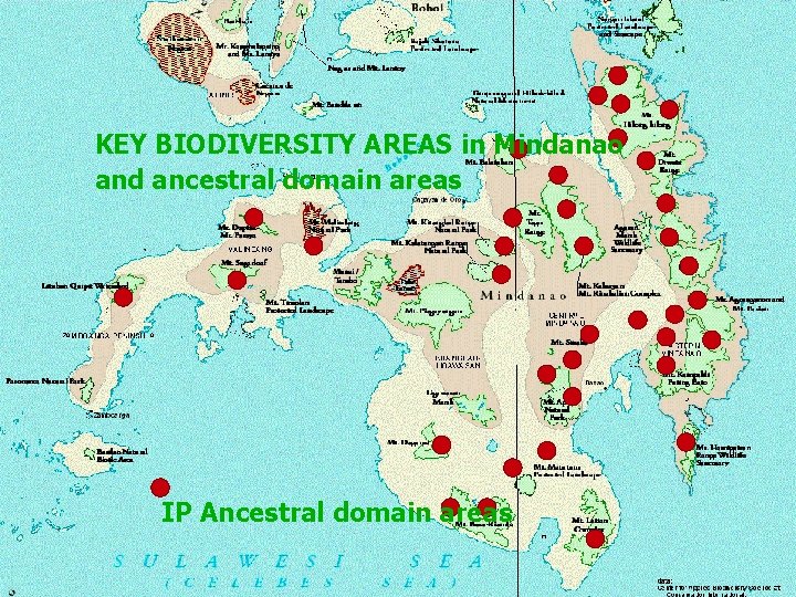 KEY BIODIVERSITY AREAS in Mindanao and ancestral domain areas IP Ancestral domain areas 