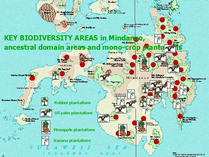 KEY BIODIVERSITY AREAS in Mindanao, ancestral domain areas and mono-crop plantations Rubber plantations Oil