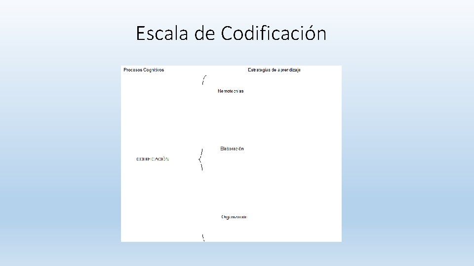 Escala de Codificación Escala de Codificación