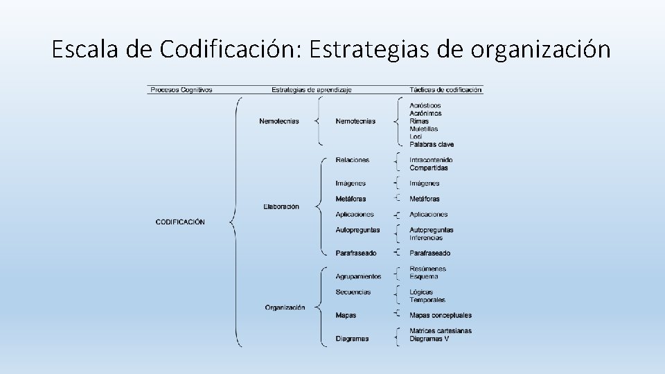 Escala de Codificación: Estrategias de organización Escala de Codificación: Estrategias de organización