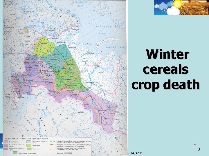 Winter cereals crop death 12 Meeting on Risk Transfer , Geneva, December 13 –