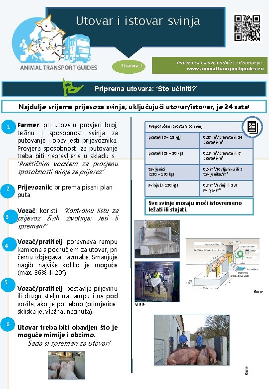 Utovar i istovar svinja Poveznica na sve vodiče i informacije : Stranica 1 P