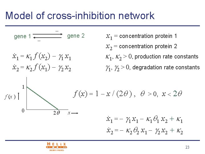 Model of cross-inhibition network gene 1 gene 2 x 1 = 1 f (x