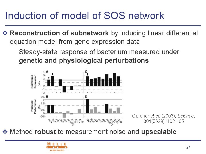 Induction of model of SOS network v Reconstruction of subnetwork by inducing linear differential