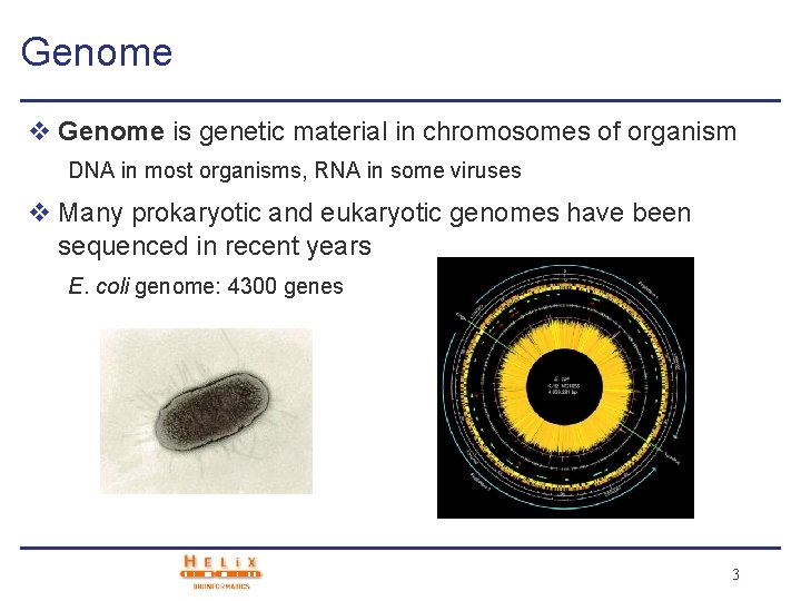 Genome v Genome is genetic material in chromosomes of organism DNA in most organisms,