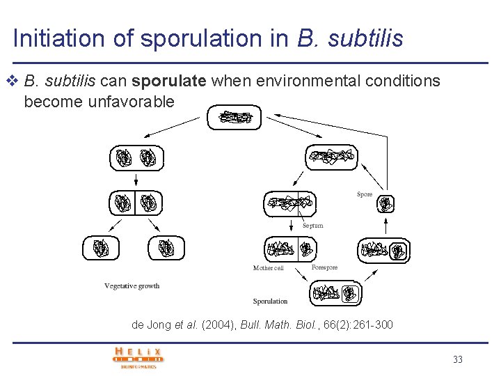 Initiation of sporulation in B. subtilis v B. subtilis can sporulate when environmental conditions