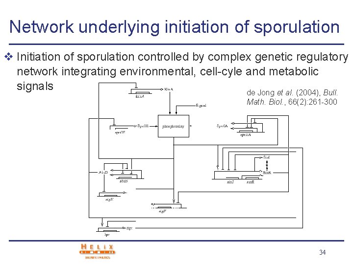 Network underlying initiation of sporulation v Initiation of sporulation controlled by complex genetic regulatory