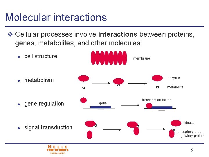 Molecular interactions v Cellular processes involve interactions between proteins, genes, metabolites, and other molecules: