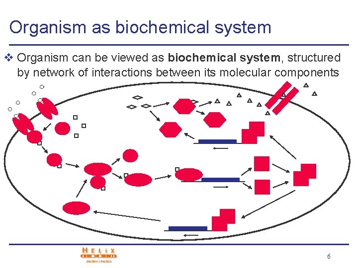 Organism as biochemical system v Organism can be viewed as biochemical system, structured by