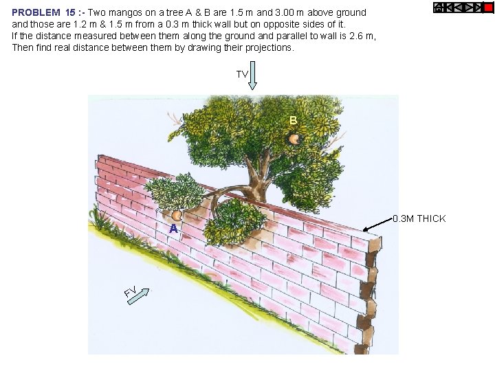 PROBLEM 15 : - Two mangos on a tree A & B are 1.