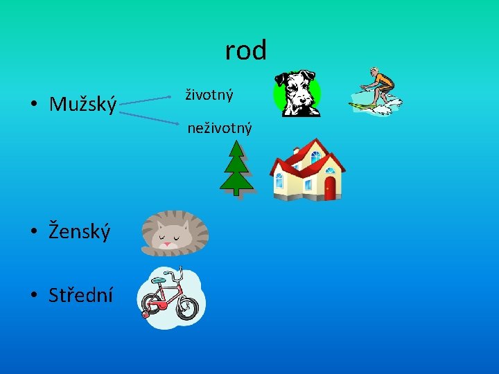 rod • Mužský životný neživotný • Ženský • Střední 