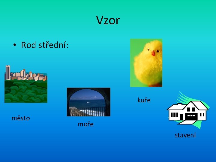 Vzor • Rod střední: kuře město moře stavení 