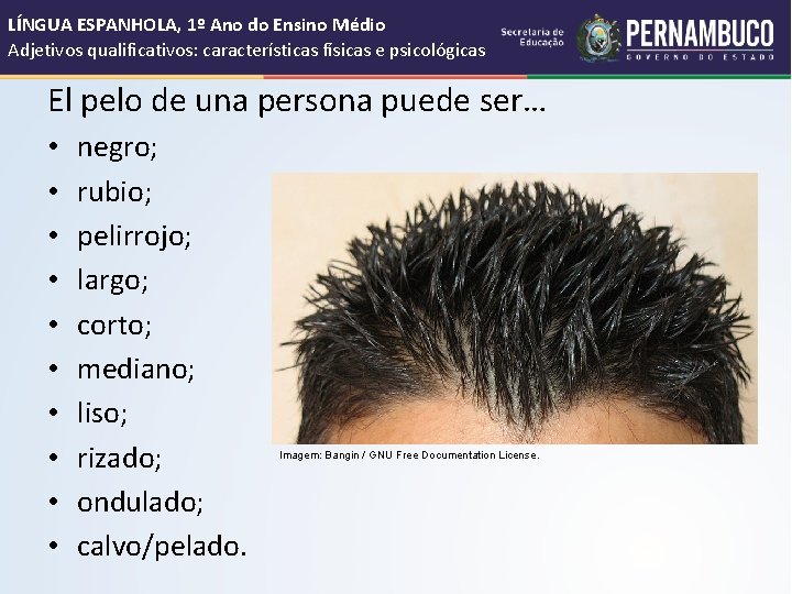 LÍNGUA ESPANHOLA, 1º Ano do Ensino Médio Adjetivos qualificativos: características físicas e psicológicas El