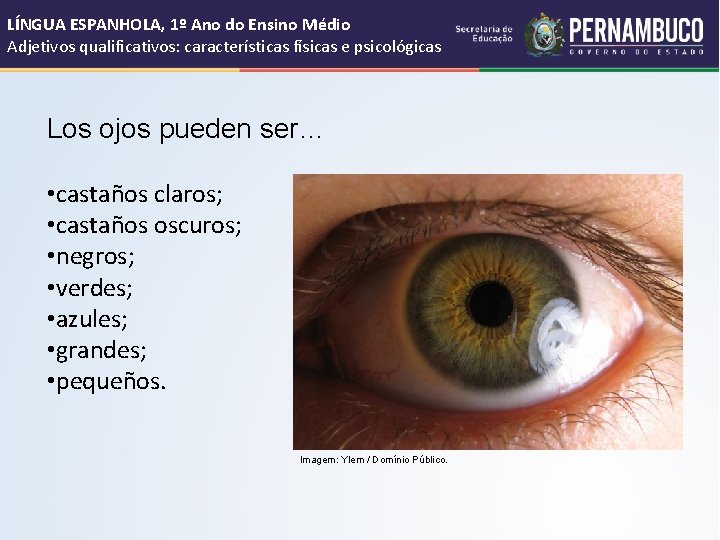 LÍNGUA ESPANHOLA, 1º Ano do Ensino Médio Adjetivos qualificativos: características físicas e psicológicas Los