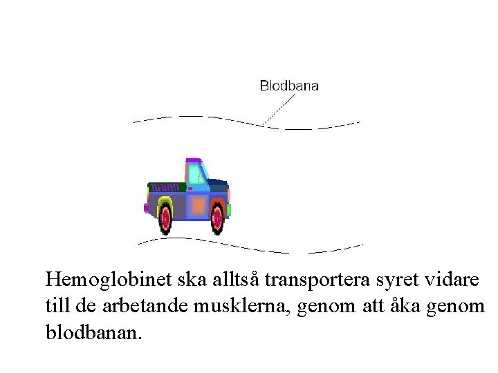 Hemoglobinet ska alltså transportera syret vidare till de arbetande musklerna, genom att åka genom