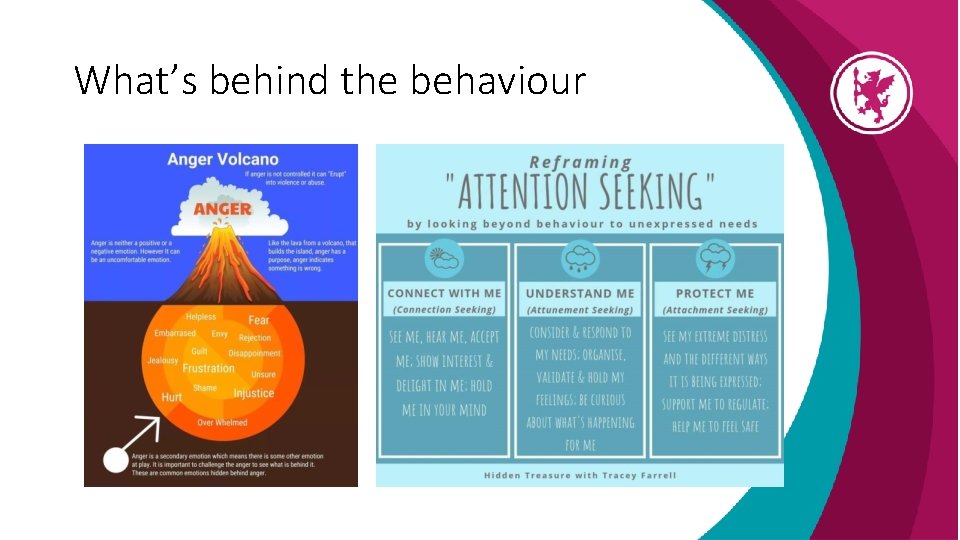 What’s behind the behaviour 