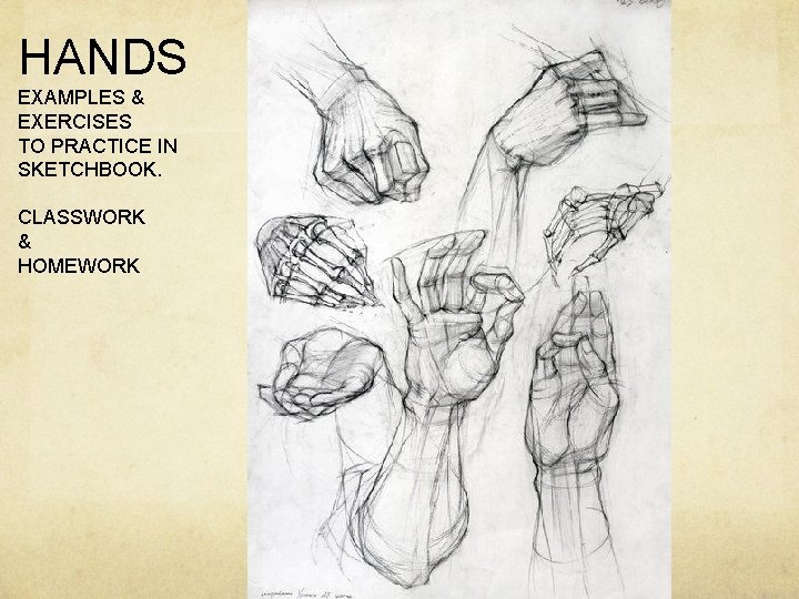 HANDS EXAMPLES & EXERCISES TO PRACTICE IN SKETCHBOOK. CLASSWORK & HOMEWORK 