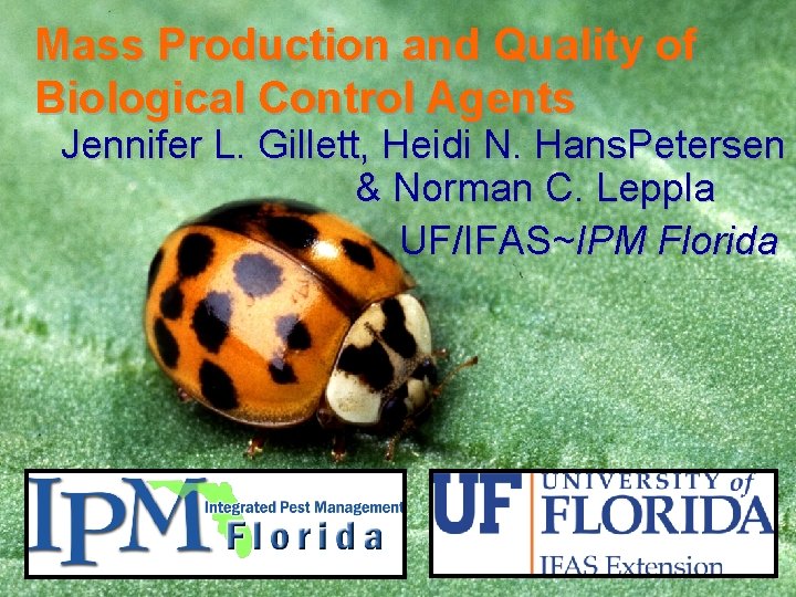 Mass Production and Quality of Biological Control Agents Jennifer L. Gillett, Heidi N. Hans.