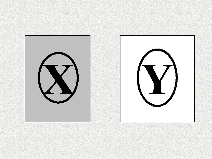 X Y X Y