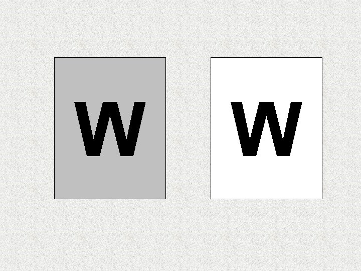 W W W W