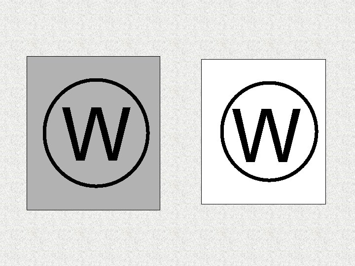 W W W W