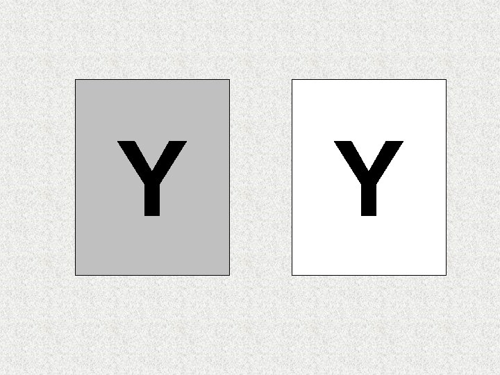 Y Y Y Y
