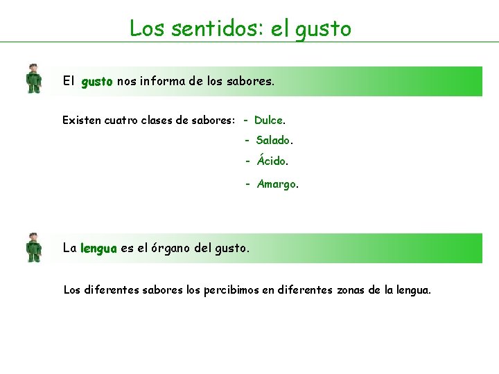 Los sentidos: el gusto El gusto nos informa de los sabores. Existen cuatro clases