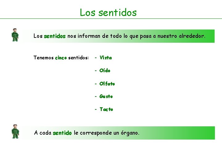 Los sentidos nos informan de todo lo que pasa a nuestro alrededor. Tenemos cinco