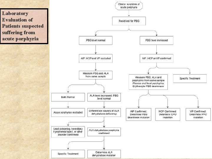 Laboratory Evaluation of Patients suspected suffering from acute porphyria 