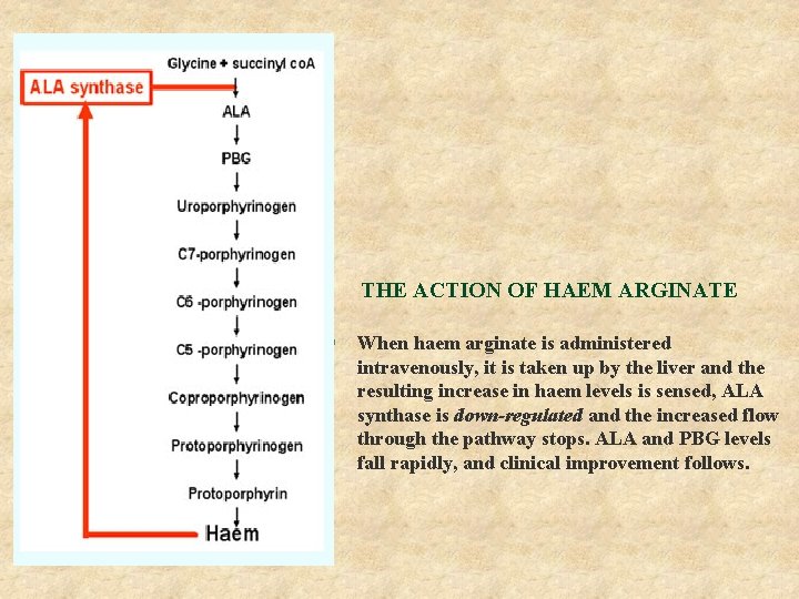 THE ACTION OF HAEM ARGINATE § When haem arginate is administered intravenously, it is