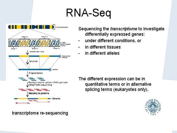 RNA-Seq Sequencing the transcriptome to investigate differentially expressed genes: - under different conditions, or RNA-Seq Sequencing the transcriptome to investigate differentially expressed genes: - under different conditions, or