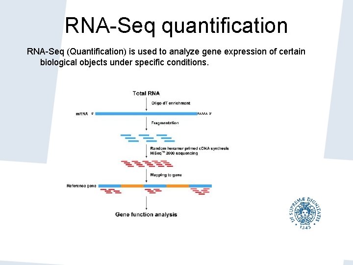 RNA-Seq quantification RNA-Seq (Quantification) is used to analyze gene expression of certain biological objects RNA-Seq quantification RNA-Seq (Quantification) is used to analyze gene expression of certain biological objects