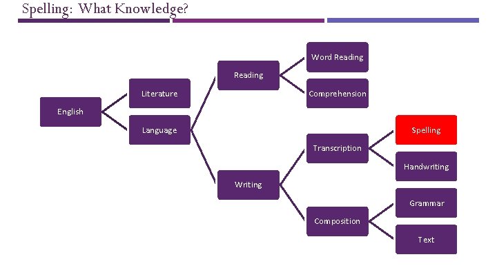 Spelling: What Knowledge? Word Reading Literature Comprehension English Language Spelling Transcription Handwriting Writing Grammar