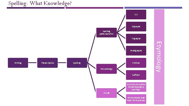 Spelling: What Knowledge? BACKGROUND 1: 1 Digraphs Spelling patterns/GPCs Trigraphs Writing Transcription Spelling Prefixes