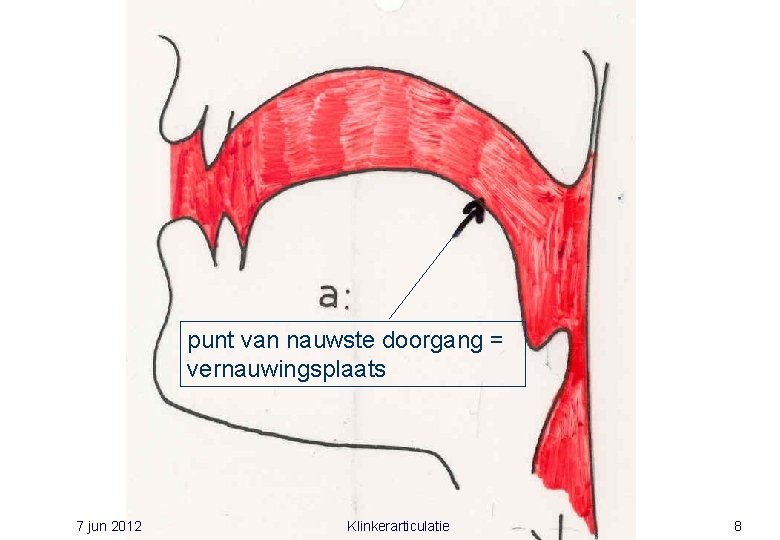 punt van nauwste doorgang = vernauwingsplaats 7 jun 2012 Klinkerarticulatie 8 punt van nauwste doorgang = vernauwingsplaats 7 jun 2012 Klinkerarticulatie 8