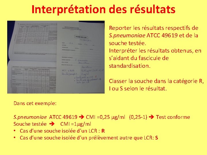 Interprétation des résultats Reporter les résultats respectifs de S. pneumoniae ATCC 49619 et de Interprétation des résultats Reporter les résultats respectifs de S. pneumoniae ATCC 49619 et de