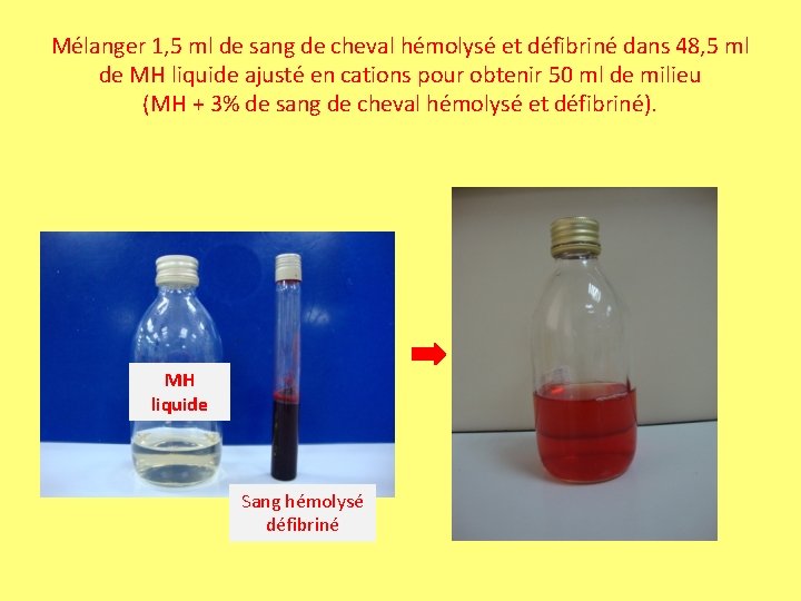Mélanger 1, 5 ml de sang de cheval hémolysé et défibriné dans 48, 5 Mélanger 1, 5 ml de sang de cheval hémolysé et défibriné dans 48, 5