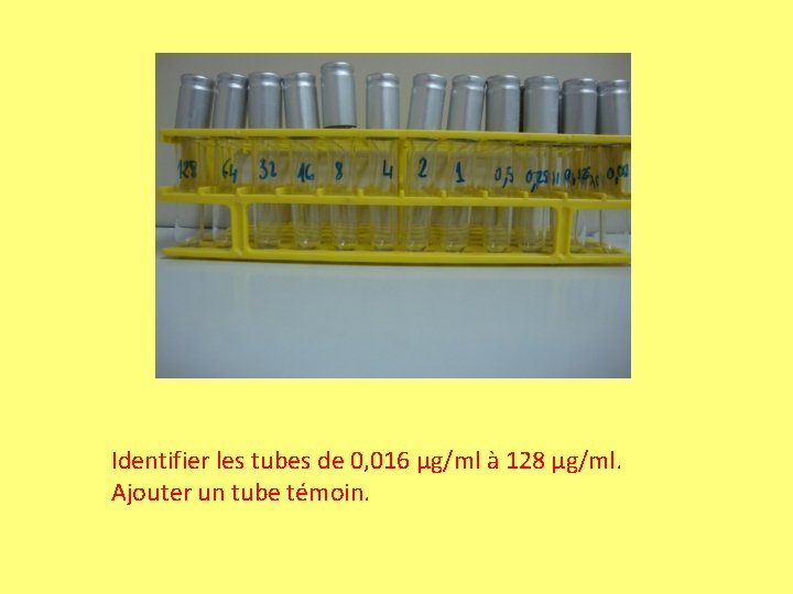 Identifier les tubes de 0, 016 µg/ml à 128 µg/ml. Ajouter un tube témoin. Identifier les tubes de 0, 016 µg/ml à 128 µg/ml. Ajouter un tube témoin.