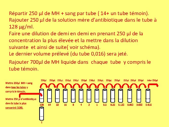 Répartir 250 µl de MH + sang par tube ( 14+ un tube témoin). Répartir 250 µl de MH + sang par tube ( 14+ un tube témoin).
