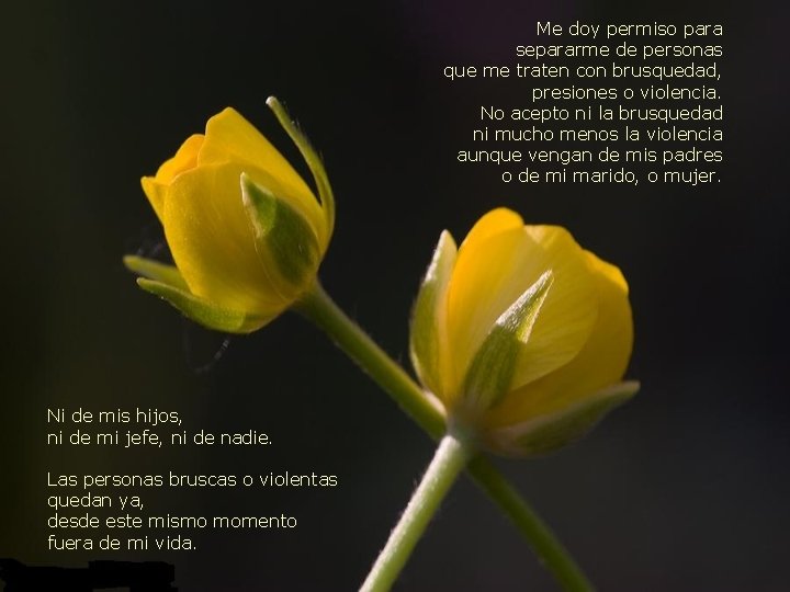 Me doy permiso para separarme de personas que me traten con brusquedad, presiones o Me doy permiso para separarme de personas que me traten con brusquedad, presiones o